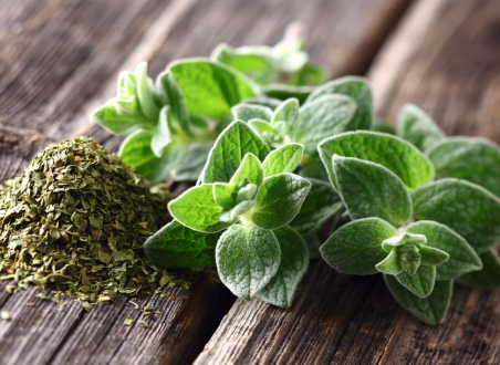 Koření života – dobromysl či oregano