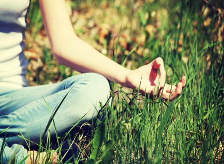 Rostliny a meditace
