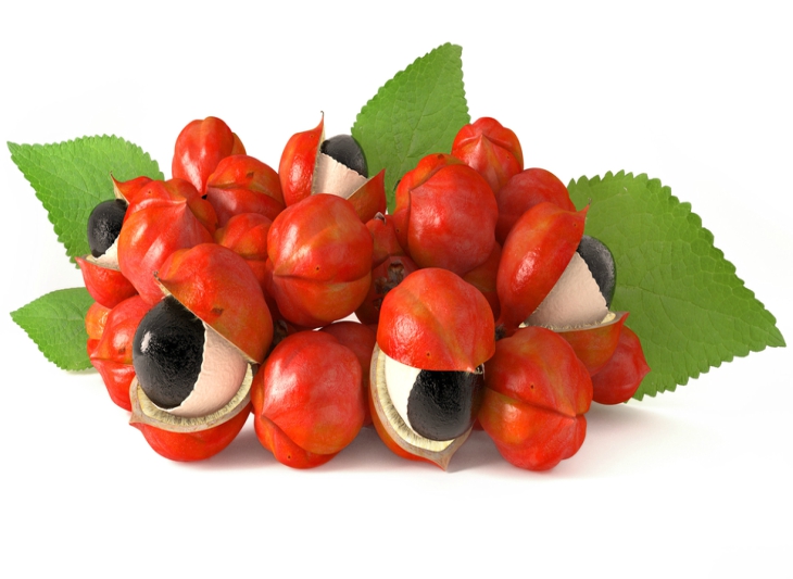Guarana 